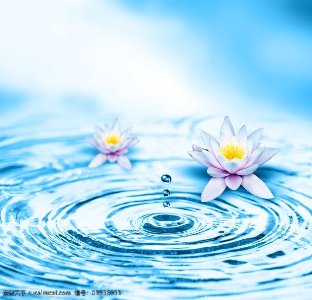 动感水珠 动感水波 荷花 花卉 花朵 绿叶 动感 水波 涟漪 水滴 水珠 水珠背景 水滴背景 花草 生物世界
