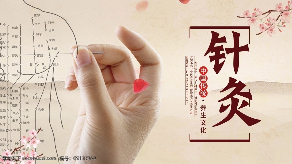 大气 中国 风 针灸 展板 中国风 手 穴位 桃花