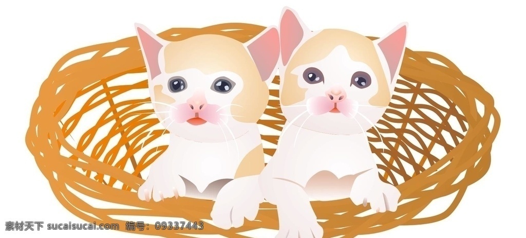 竹篮 中 两 只 小 奶 猫 小猫 可爱的小猫 猫咪 小猫咪 咪咪 矢量 动物 生物世界