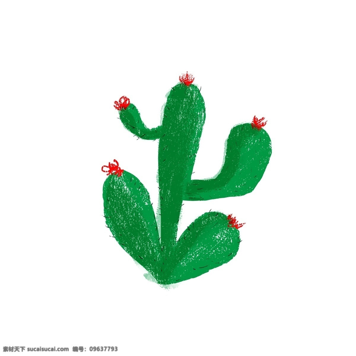 绿仙人掌 仙人掌 植物 绿色 卡通 可爱 简洁
