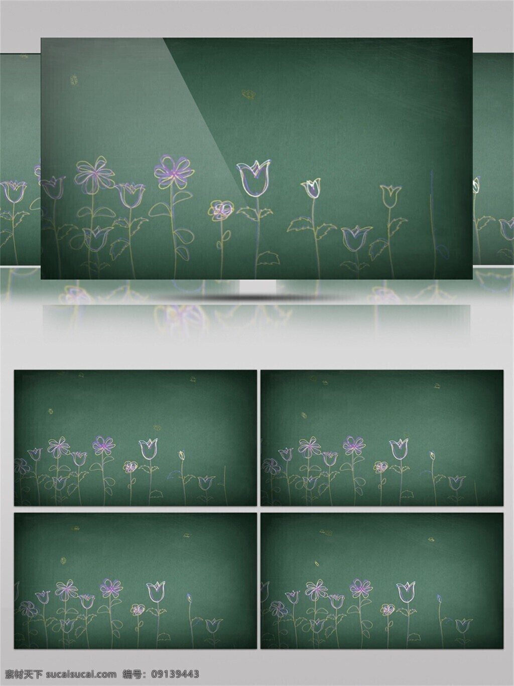 拍摄 黑板 上 花卉 视频 音效 粉笔 小花 紫色 白色 视频素材 视频音效