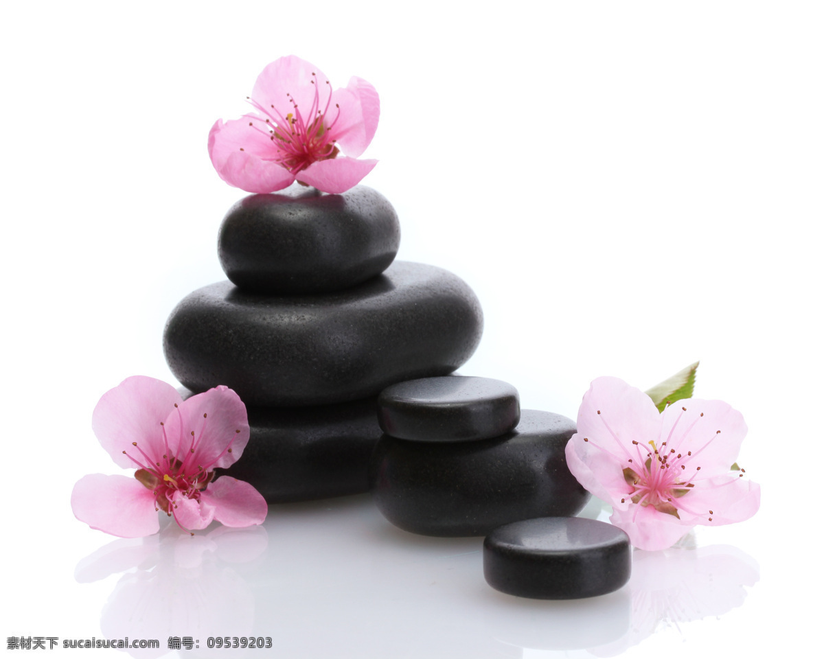 鲜花 水疗 石 石头 石块 水疗石 spa美容 spa 用品 养生 生活用品 生活百科