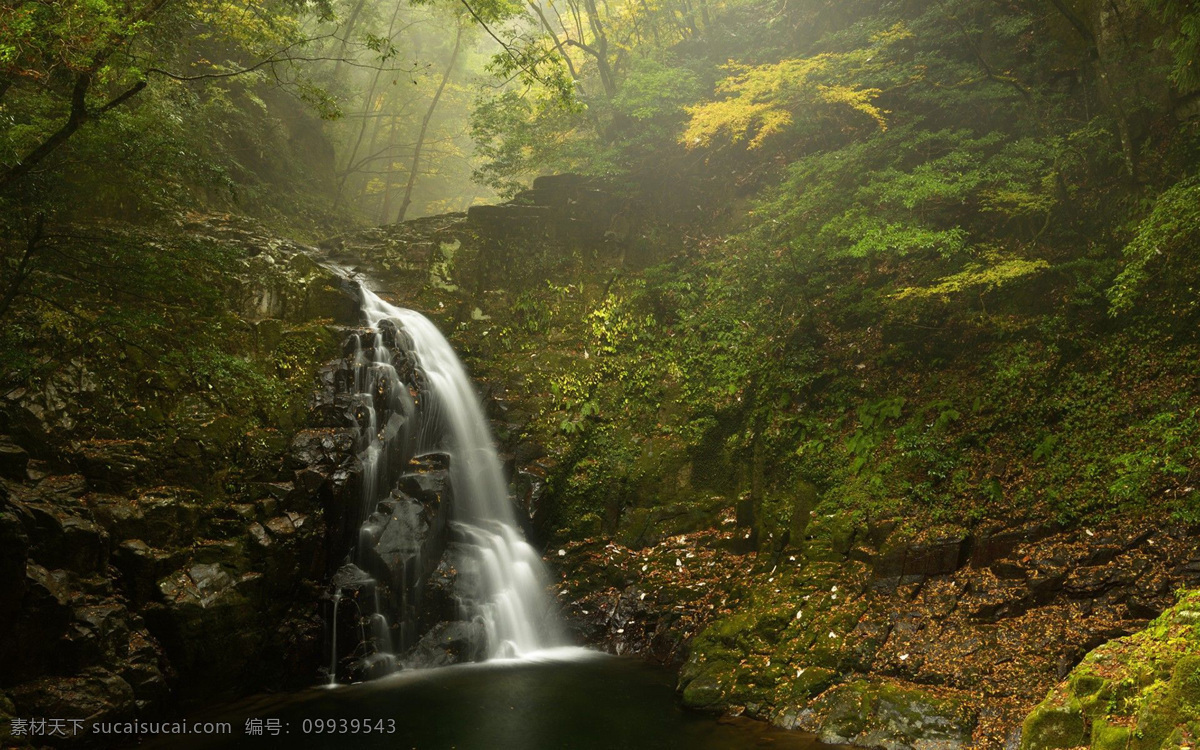 风景图片 风景 桌面壁纸 自然景观 自然风景 壁纸图片 壁纸 山水风景 山水画图片 河流 唯美图片 风景画 风景壁纸 唯美壁纸 唯美素材 背景图片 背景素材 蓝天白云 大自然 高清风景图片 拍摄 生态 绿叶 花 草 植物 植物特写 拍摄素材 蓝天