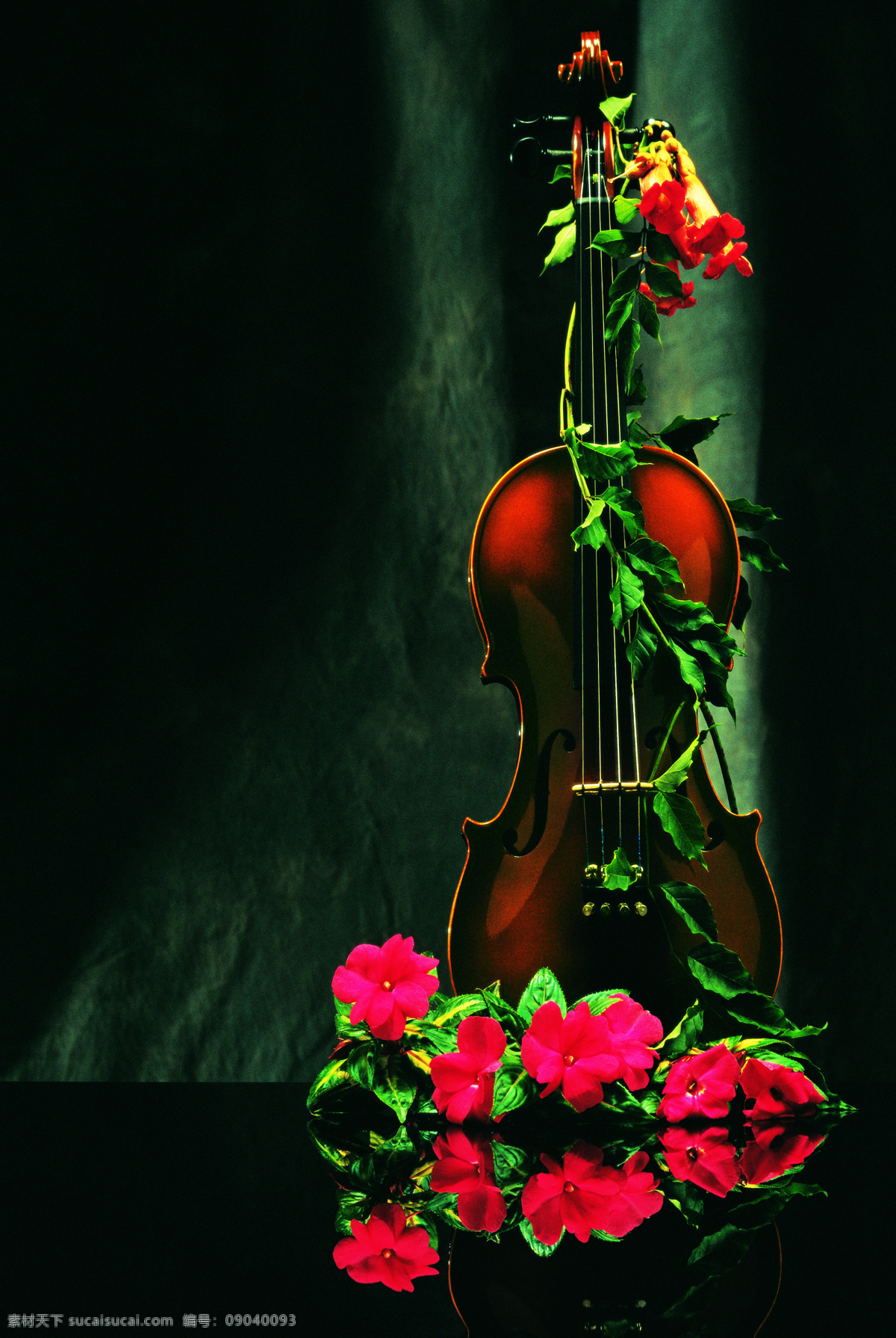 音乐简约风 音乐现代风 装饰挂画 无框画 装饰画 玫瑰花 小提琴