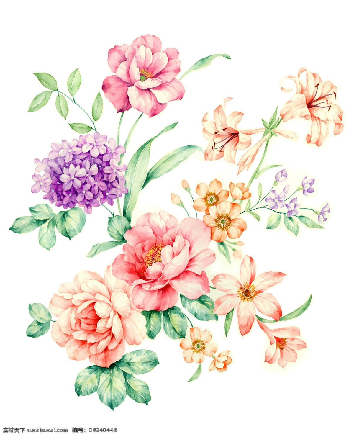 手绘花 花卉边框 花框 剪贴画 透明背景 相框 设计图设计 花卉 边框设计图模 板下载 花卉边框设计 图 设计素材 花卉边 框模板 底纹边框 背景底纹