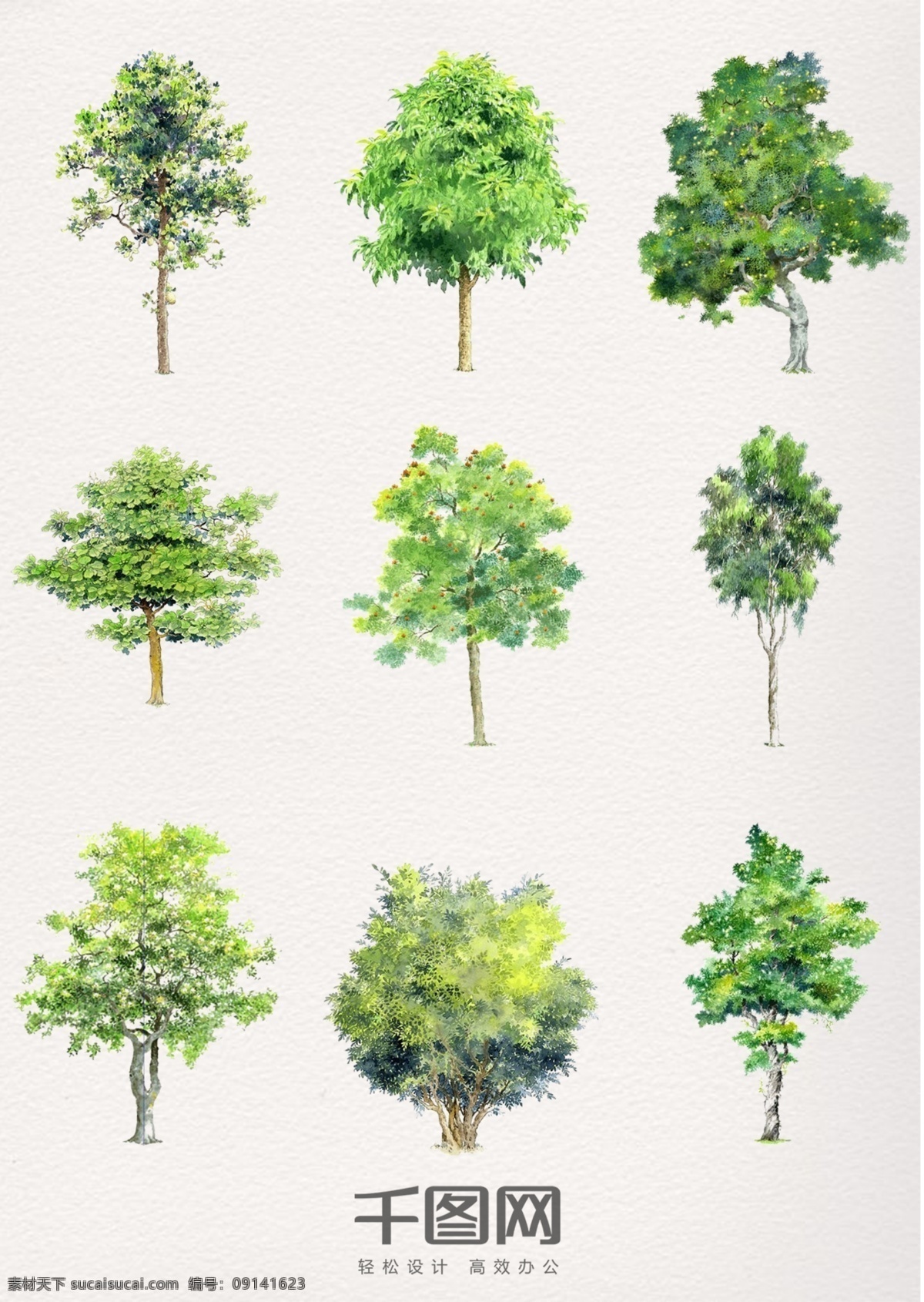 水彩 植物 精美 树木 水彩植物 绿色 夏天 清新 森林 海报素材