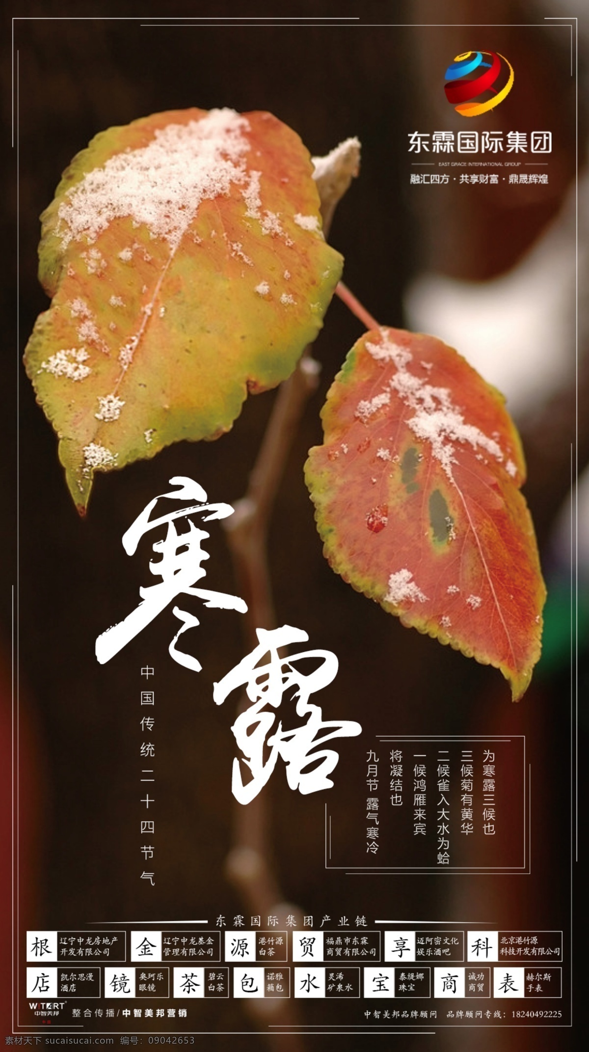 寒露节气海报 转发图 节气 寒露 秋天 叶子 海报 雪