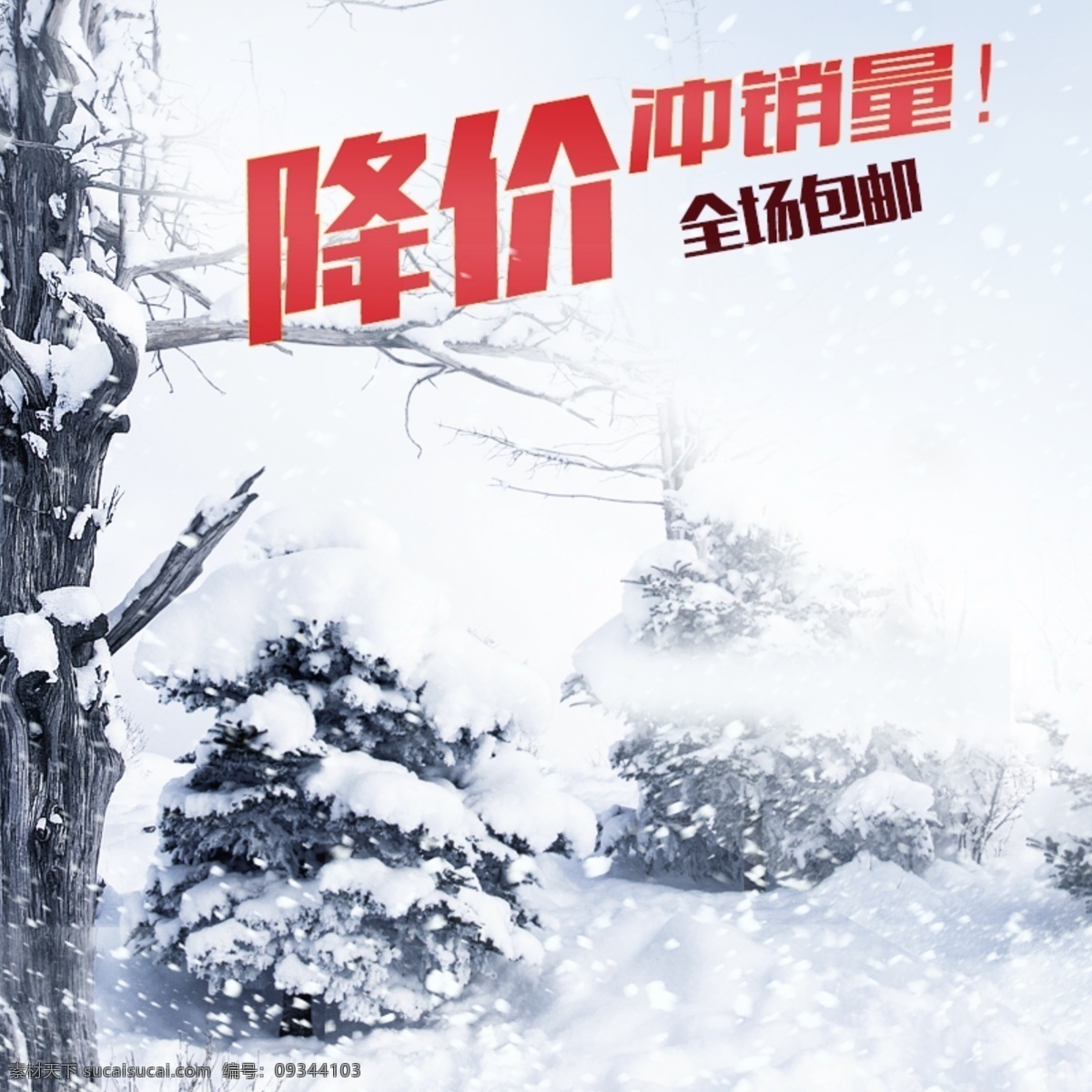 冬季雪景 冬季 雪景 雪 树 白色