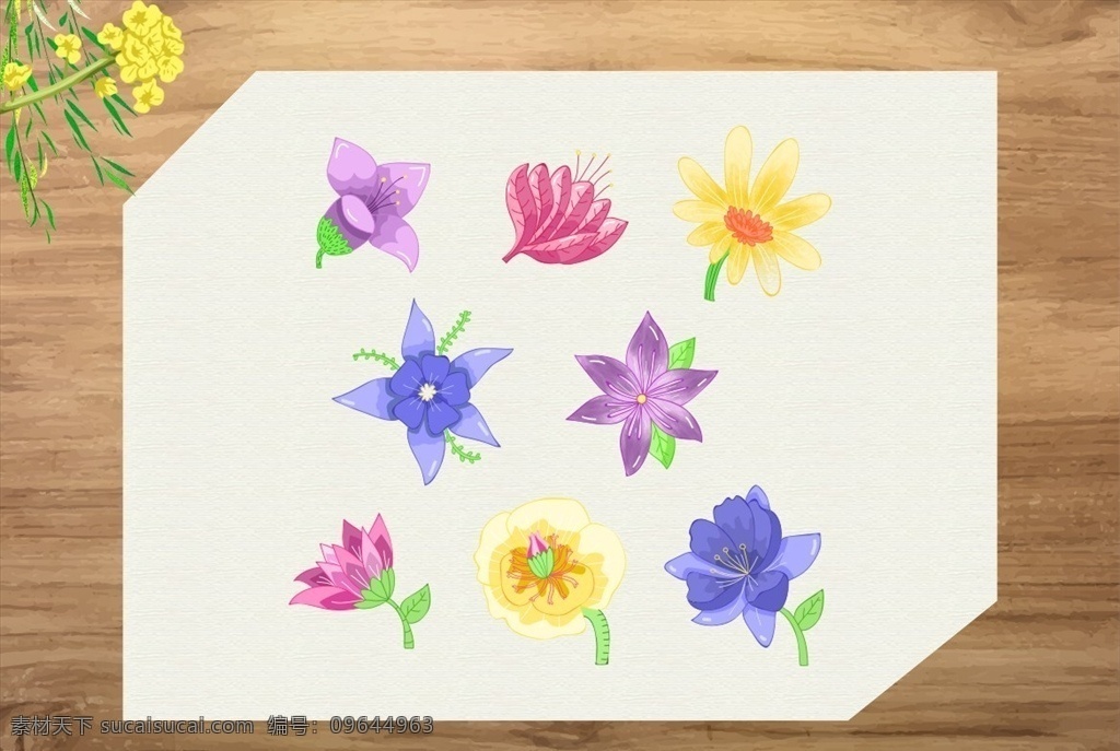 失量花朵 花朵 木纹 花 卡通花 底纹边框 背景底纹