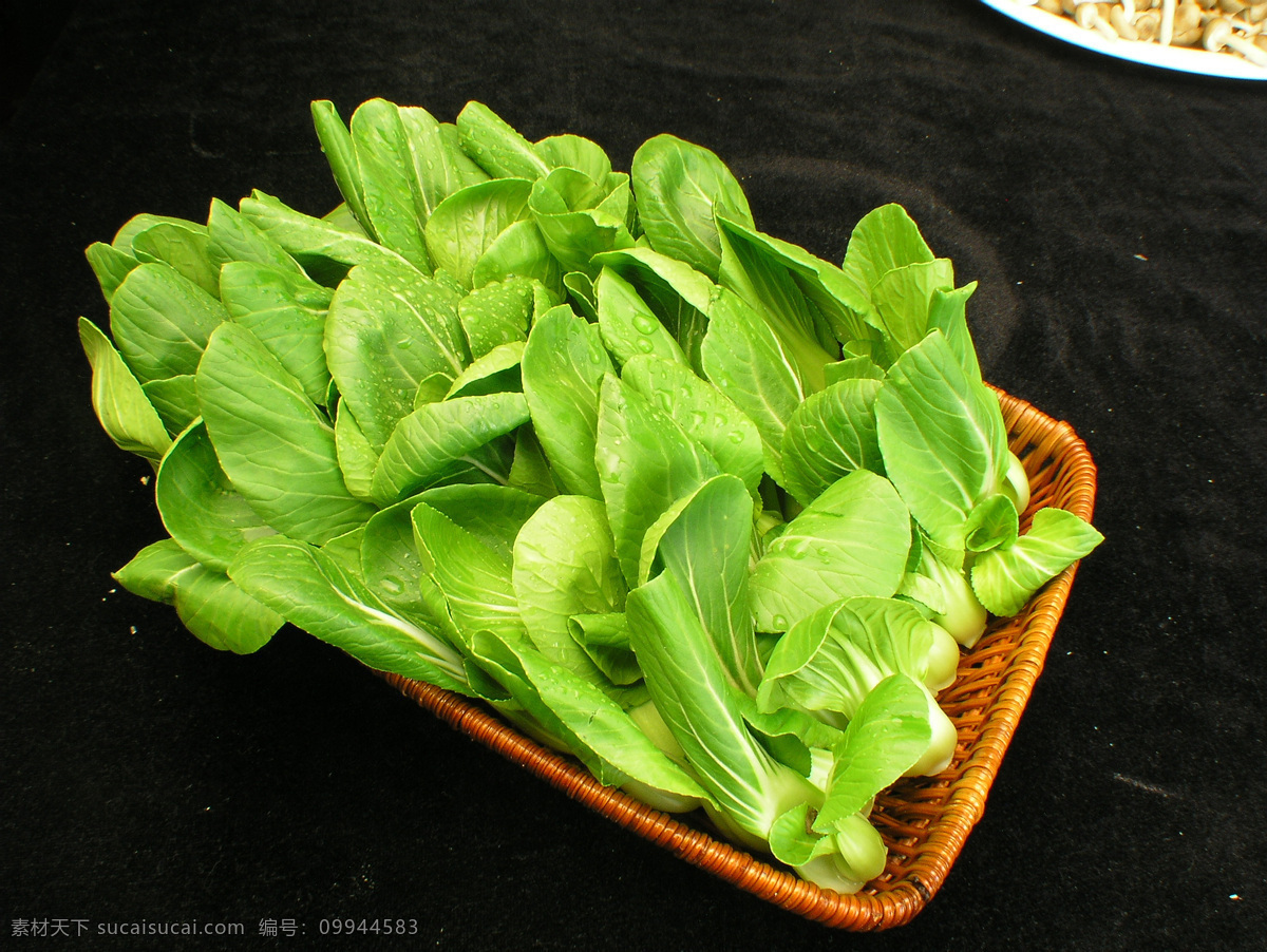 油菜心 油菜 油菜叶 菜叶 饭店菜品 精品菜 美味佳肴 舌尖上的中国 传统美味 美食 传统美食 餐饮素材 饭店 酒店 吃饭 饭 菜 餐饮美食 餐饮