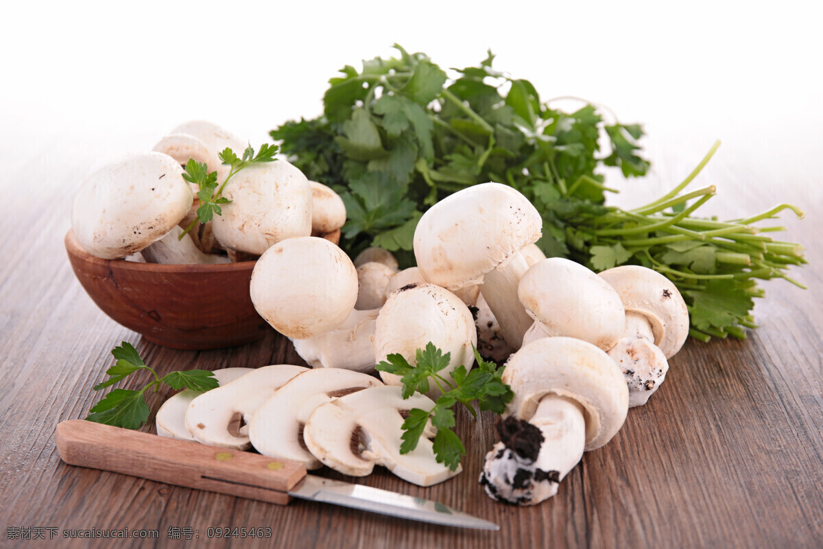 新鲜 磨 菇 香菜 香菇 蘑菇 菌类 蔬菜 食物原料 食材原料 食物摄影 餐饮美食 蘑菇图片