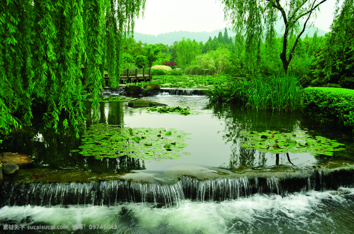 2009 公园 绿化 金奖 长桥 溪 公园绿化景观 公园景观 杭州公园绿化 2009金奖 景观 杭州 长桥溪公园 水景 流水 小瀑布 植物配景 园林绿化 河道 园林建筑 建筑园林