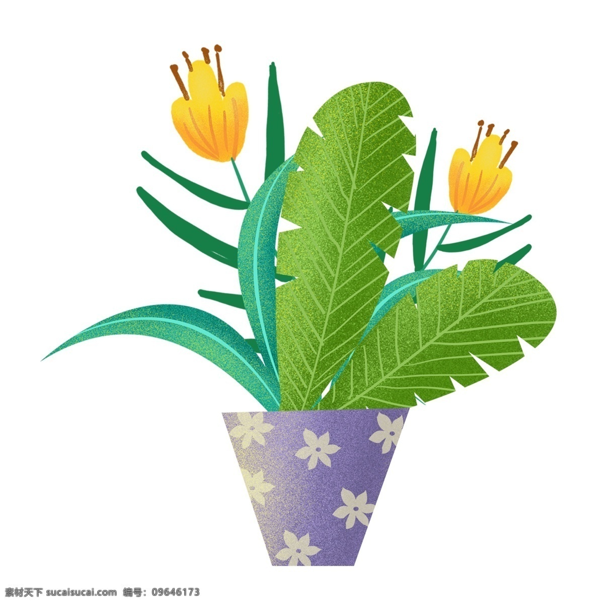 清新 唯美 盆栽 透明 植物 花朵 免扣素材 透明素材 卡通素材
