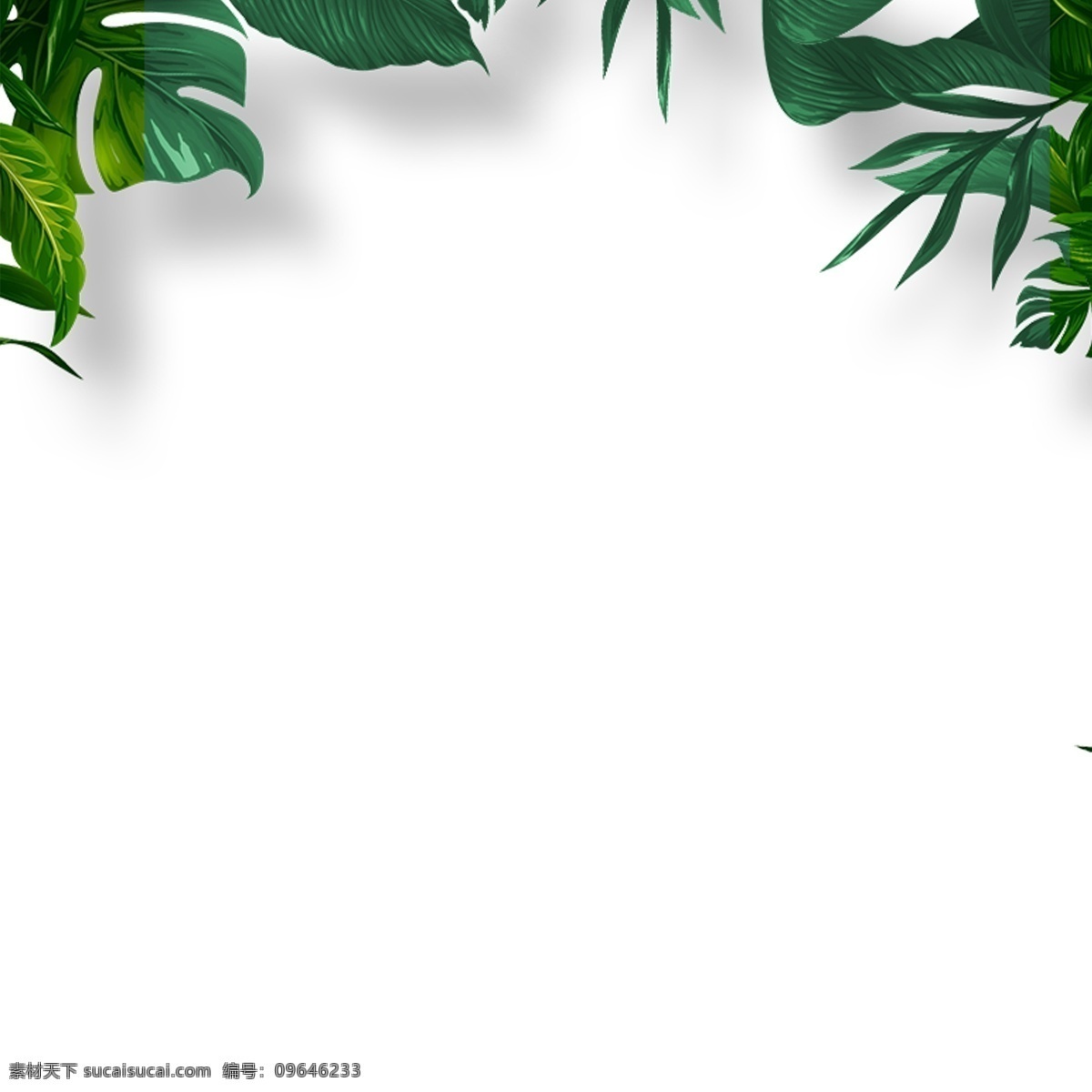 植物装饰 植物绿叶 绿色叶子 卡通插图 创意卡通下载 插图 png图下载