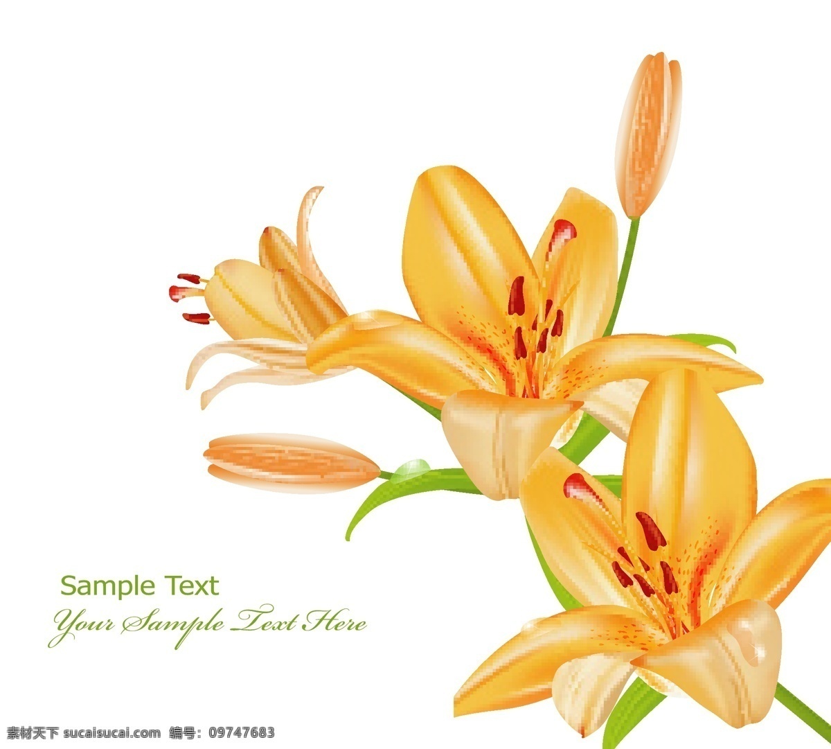 矢量百合花 矢量花卉 百合花 百合花矢量 矢量花朵 卡片 贺卡 花卉背景 梦幻花朵 时尚 潮流 梦幻 花蕊 唯美 鲜花 梦幻花卉 情人节 花卉 花纹 花朵 矢量 花草背景 花草 生物世界