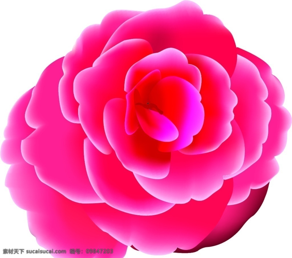 海棠 海棠花 花 红色 底纹 矢量图 花草 底纹边框 其他素材