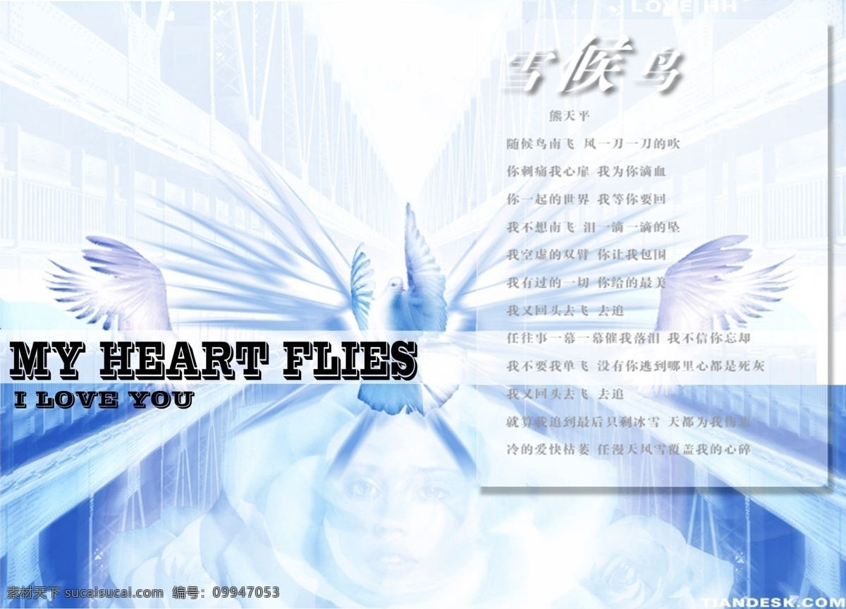 内页 歌词 雪候鸟 熊天平 流行音乐cd ps分层 经典时尚