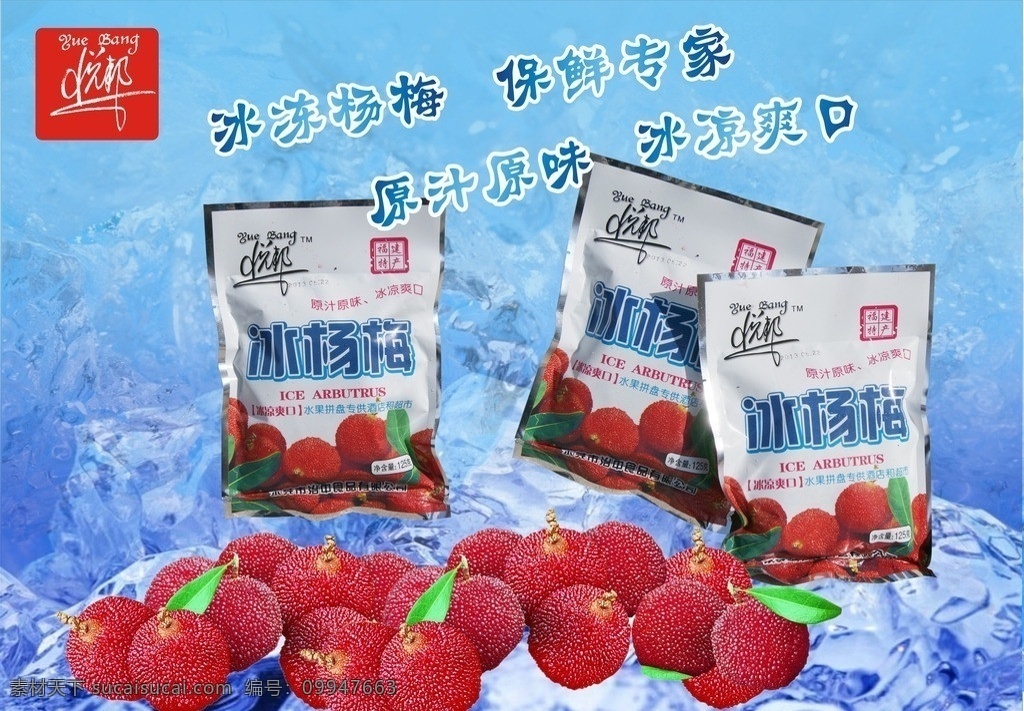 冰冻杨梅 保鲜专家 原汁原味 冰凉爽口 东魁杨梅 矢量
