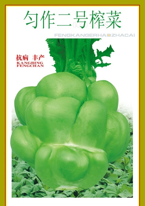 榨菜 包菜 青菜 种子包装 大头菜 菜包装 包装设计 菜 广告设计模板 源文件