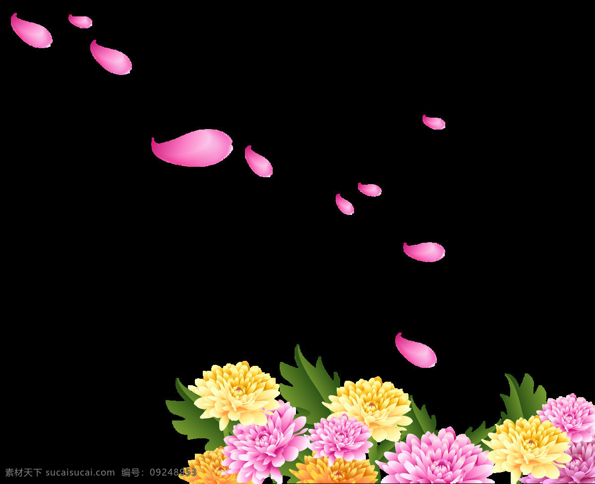 彩色 鲜花 花瓣 元素 花朵 png元素 透明素材 免抠元素