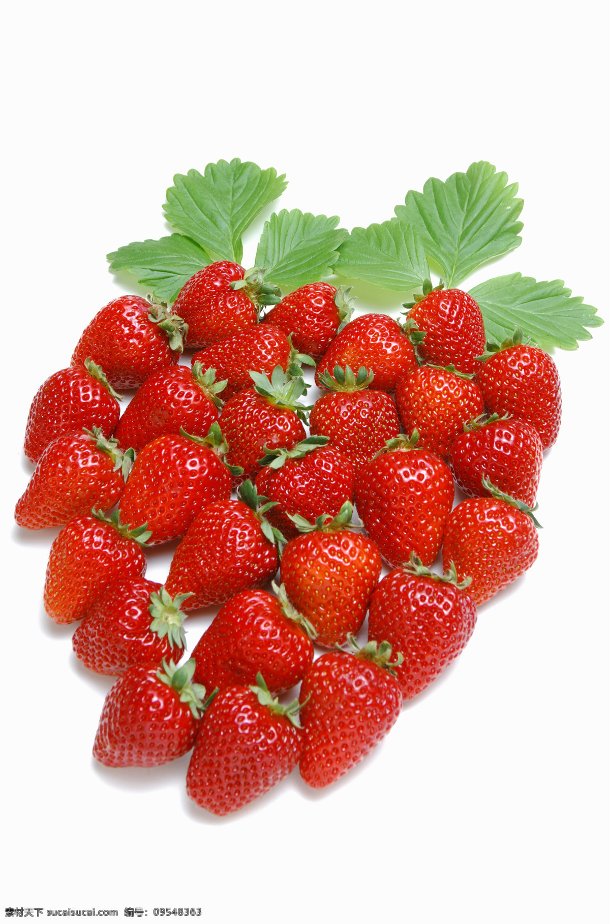 红色 草莓 新鲜草莓 红色草莓 健康果实 绿色水果 有机食品 有机水果 新鲜水果 草莓高清图片 摄影素材 水果 水果蔬菜 美食文化 蔬菜图片 餐饮美食