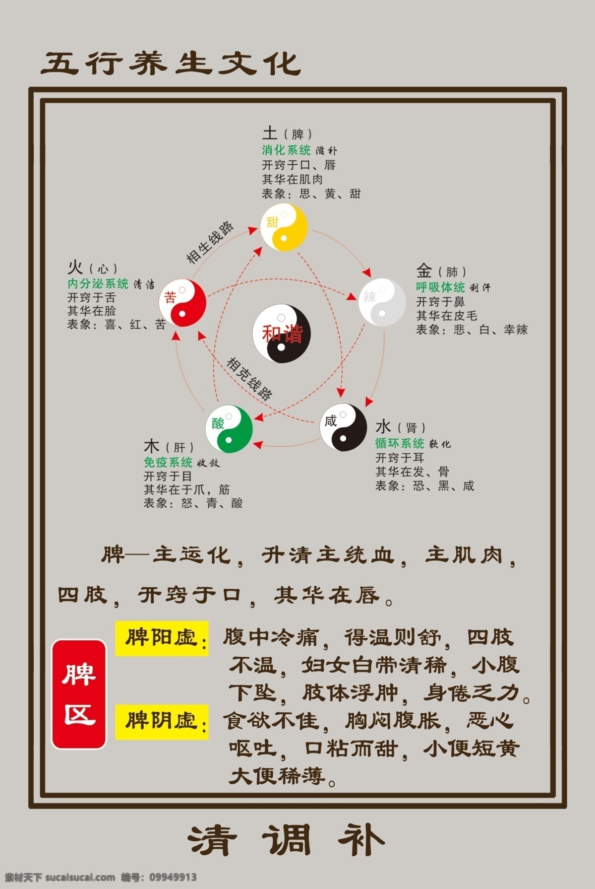 脾区 五行 养生 文化 海报 展板