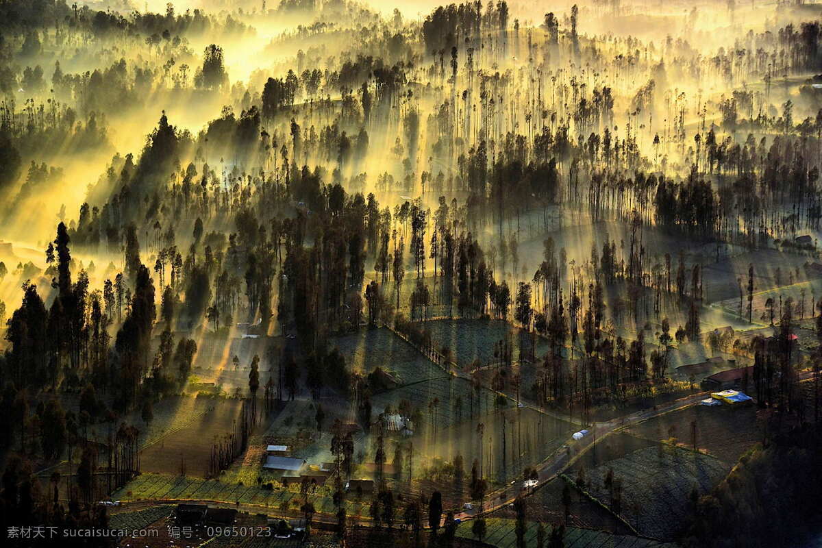 夕阳 唯美 背景墙 意境 淡雅 小清新 树枝 人物 山 中国风 山河 动漫动画 动漫人物 花 树叶 蝴蝶 樱桃 车厘子 风景漫画 木板 金属表面 黑色金属 金属玻璃 黑色玻璃 不锈钢表面 木纹 底纹边框 背景底纹 梅花 荷叶 石头 诗歌 大理石 纹路 纹理 鳞片 鹿 荷花 莲花