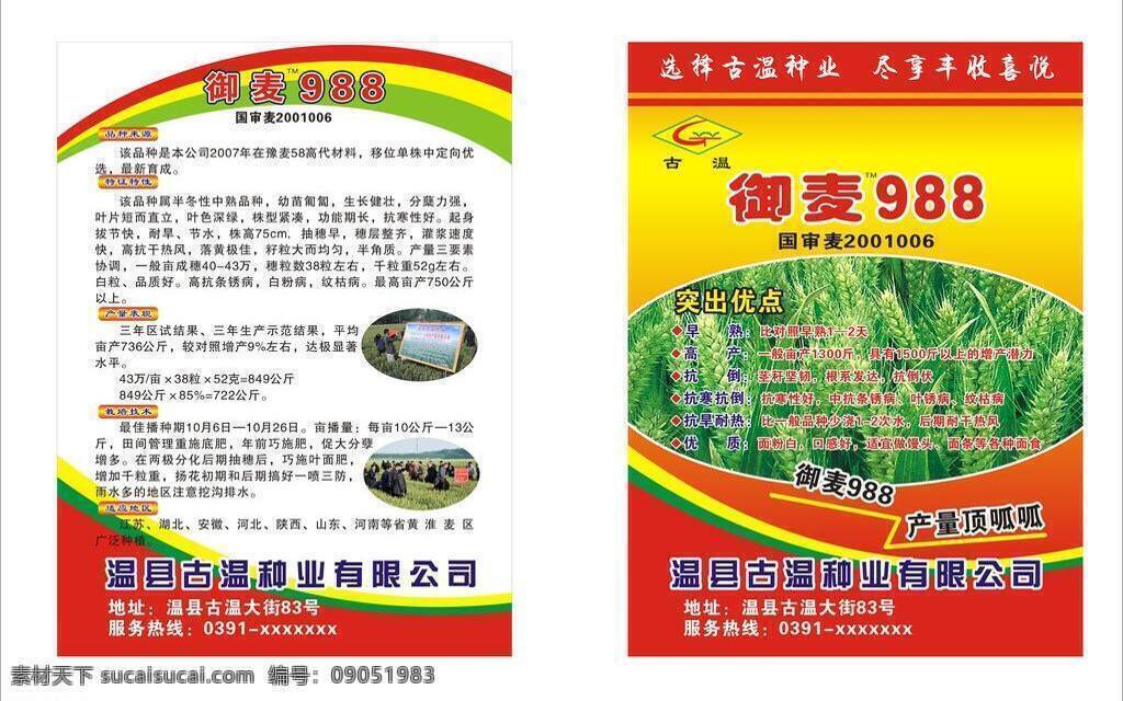 种子 彩页 dm宣传单 红色dm单 小麦 宣传单 种子彩页 种子dm单 种子模版 矢量 海报 宣传海报 dm