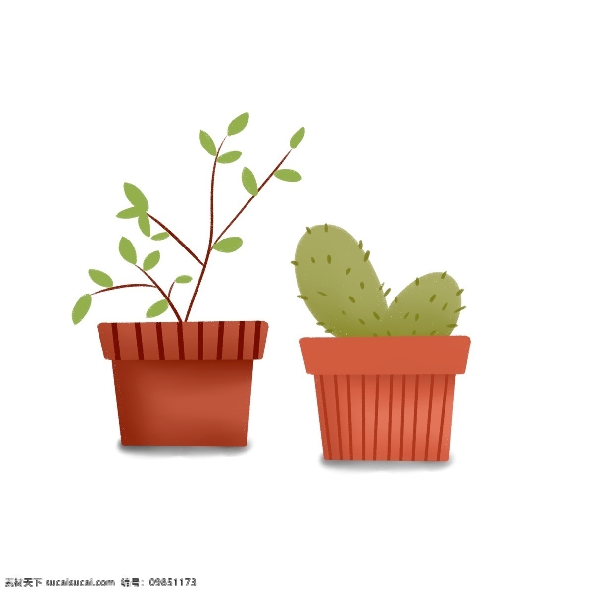 彩绘 两 盆 绿色 盆栽 插画 商用 元素 植物 花盆 仙人掌