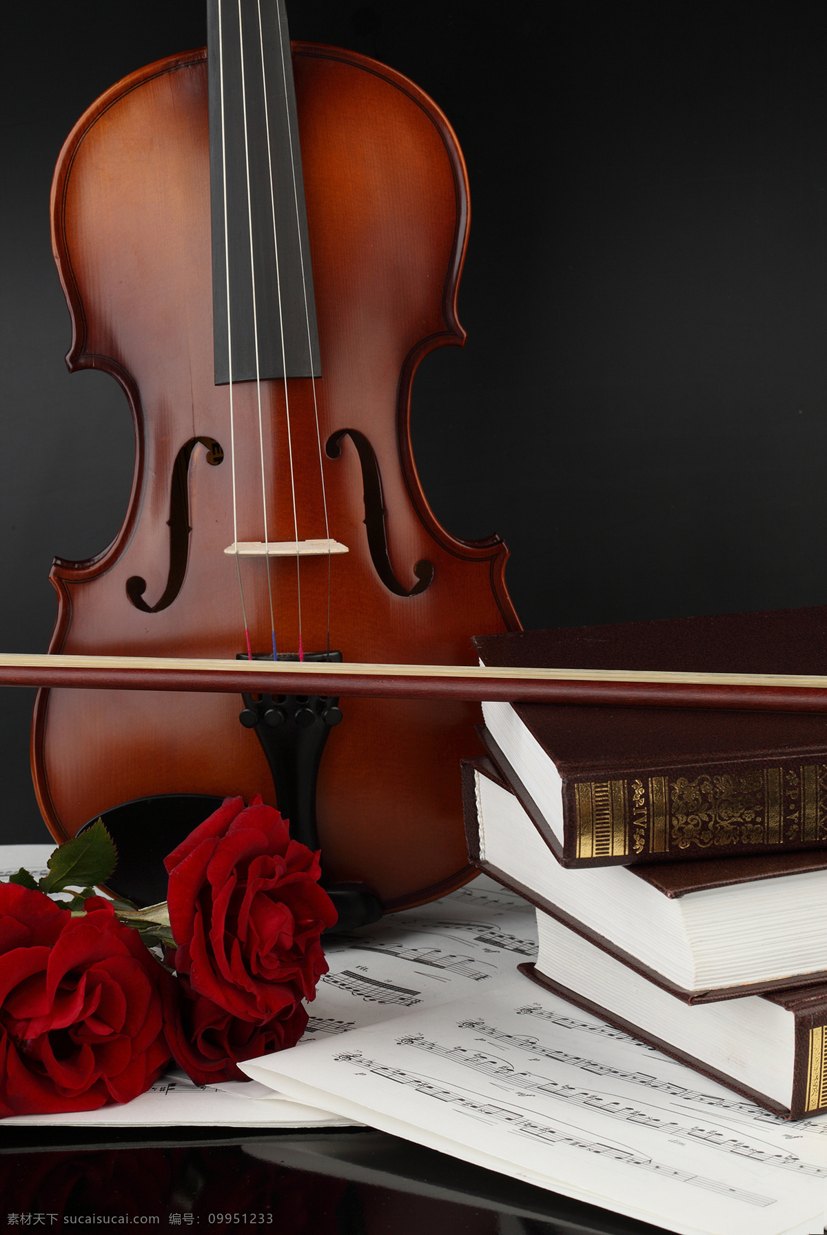 音乐 玫瑰花 小提琴 花朵花卉 美丽花朵 鲜花乐谱 五线音谱 影音娱乐 生活百科