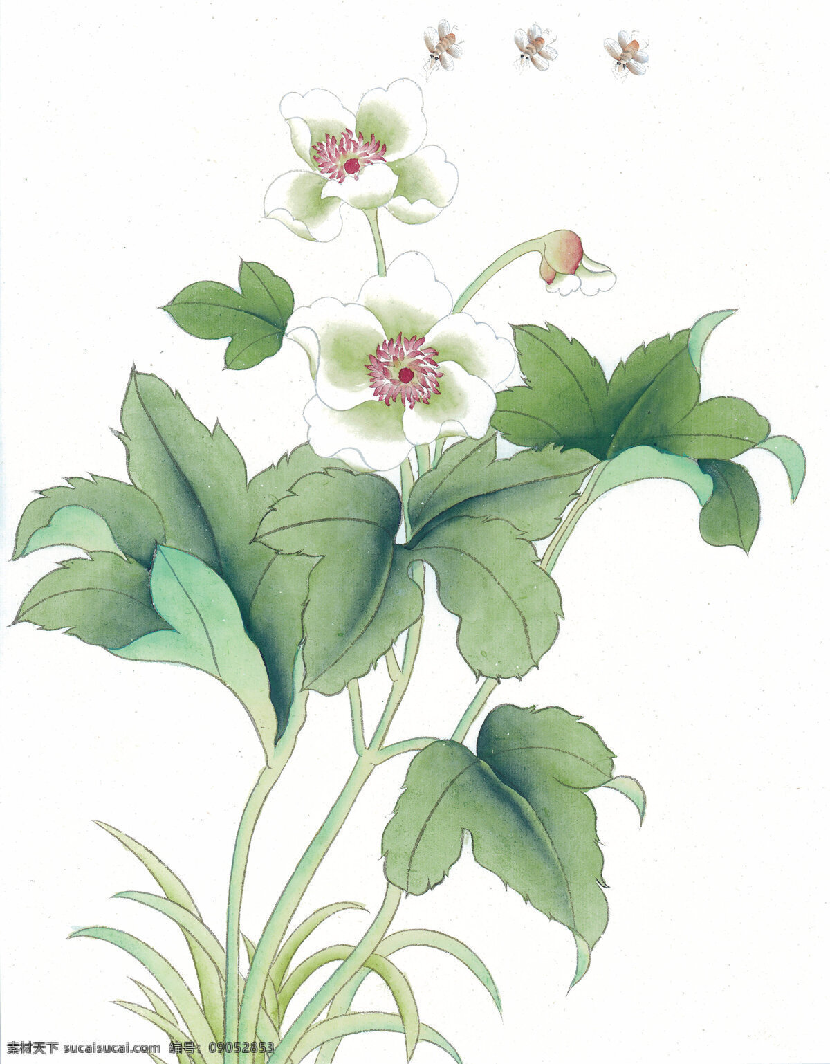 中式 花鸟 工笔画 花朵 花卉 花草 鸟 中国风 中式工笔画 文化艺术 绘画书法