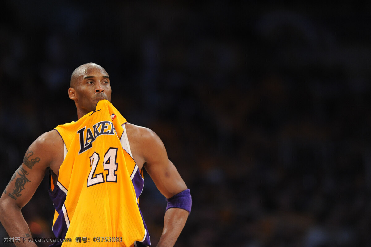 科比 nba 明星偶像 人物图库 湖人队