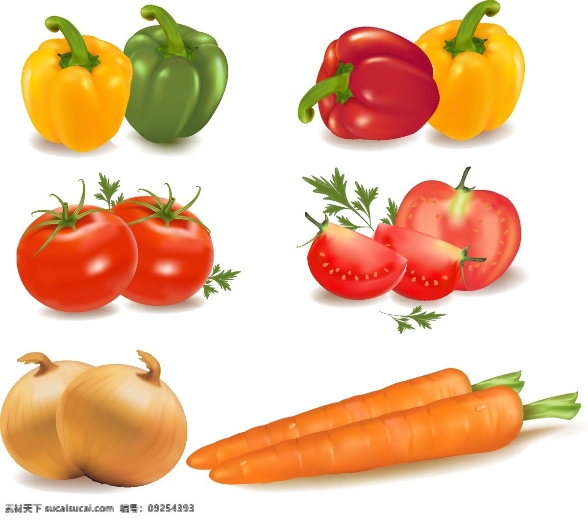 蔬菜矢量图 蔬菜 青椒 胡萝卜 洋葱 萝卜 红萝卜 灯笼椒 红椒 辣椒 西红柿 矢量 矢量图 矢量素材 其他矢量 水果 食物
