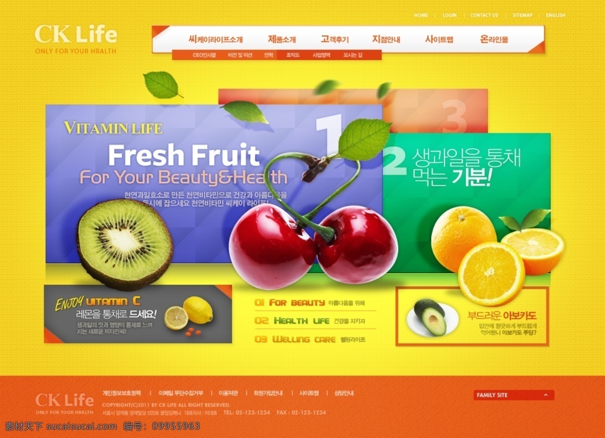 新鲜 水果 网页 模板 网页模板 网页设计 网站 网页素材
