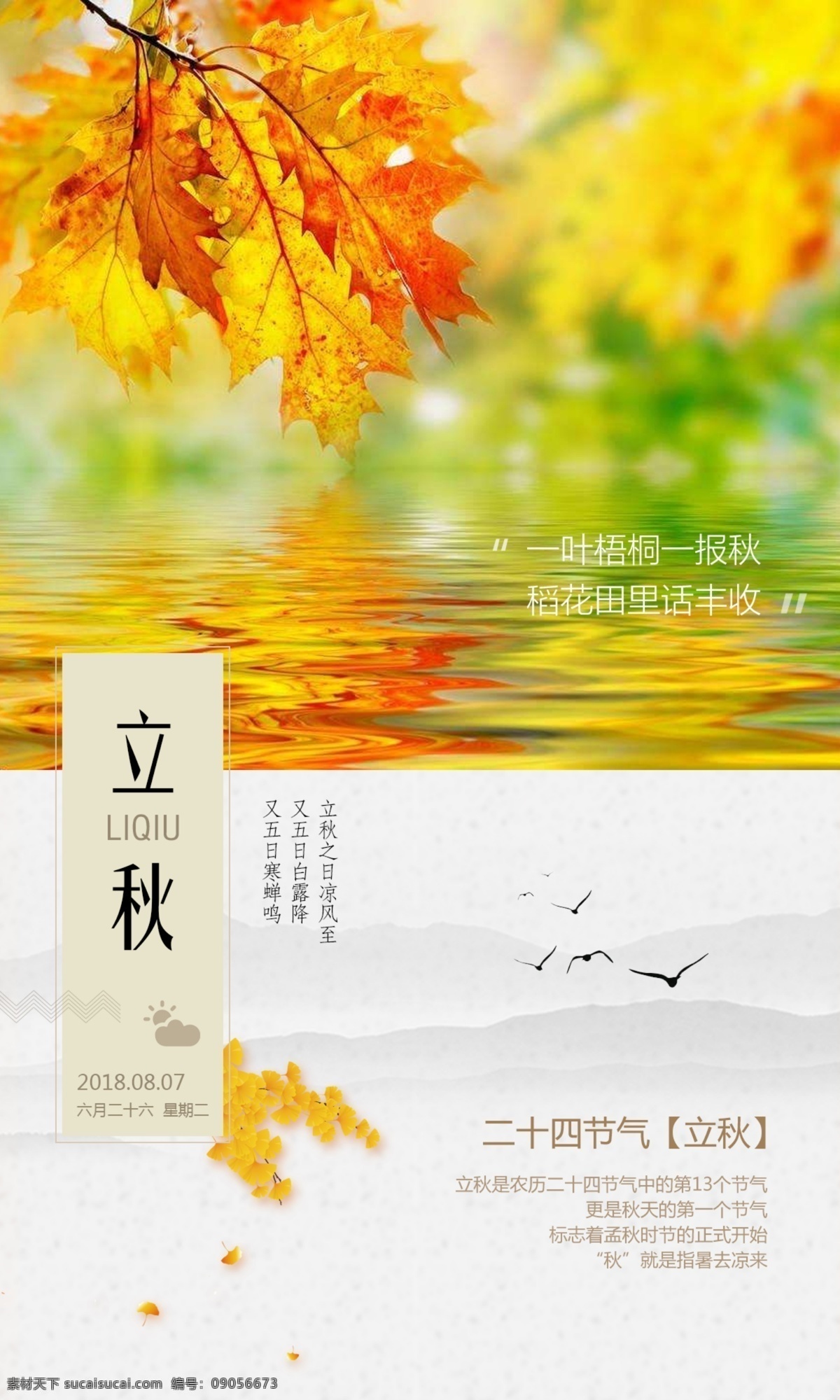 二十四节气 立秋 节气 海报 秋天 梧桐