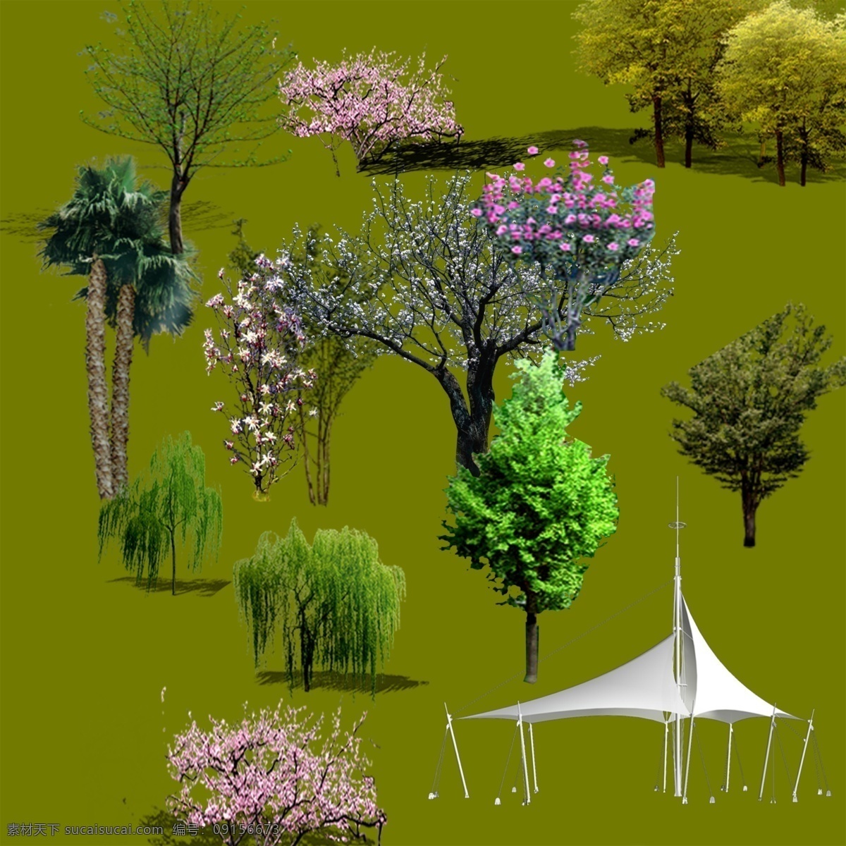 ps 后期 效果图 园林 植物 分层 园林植物 配景素材 建筑装饰 设计素材 3d模型素材 室内场景模型