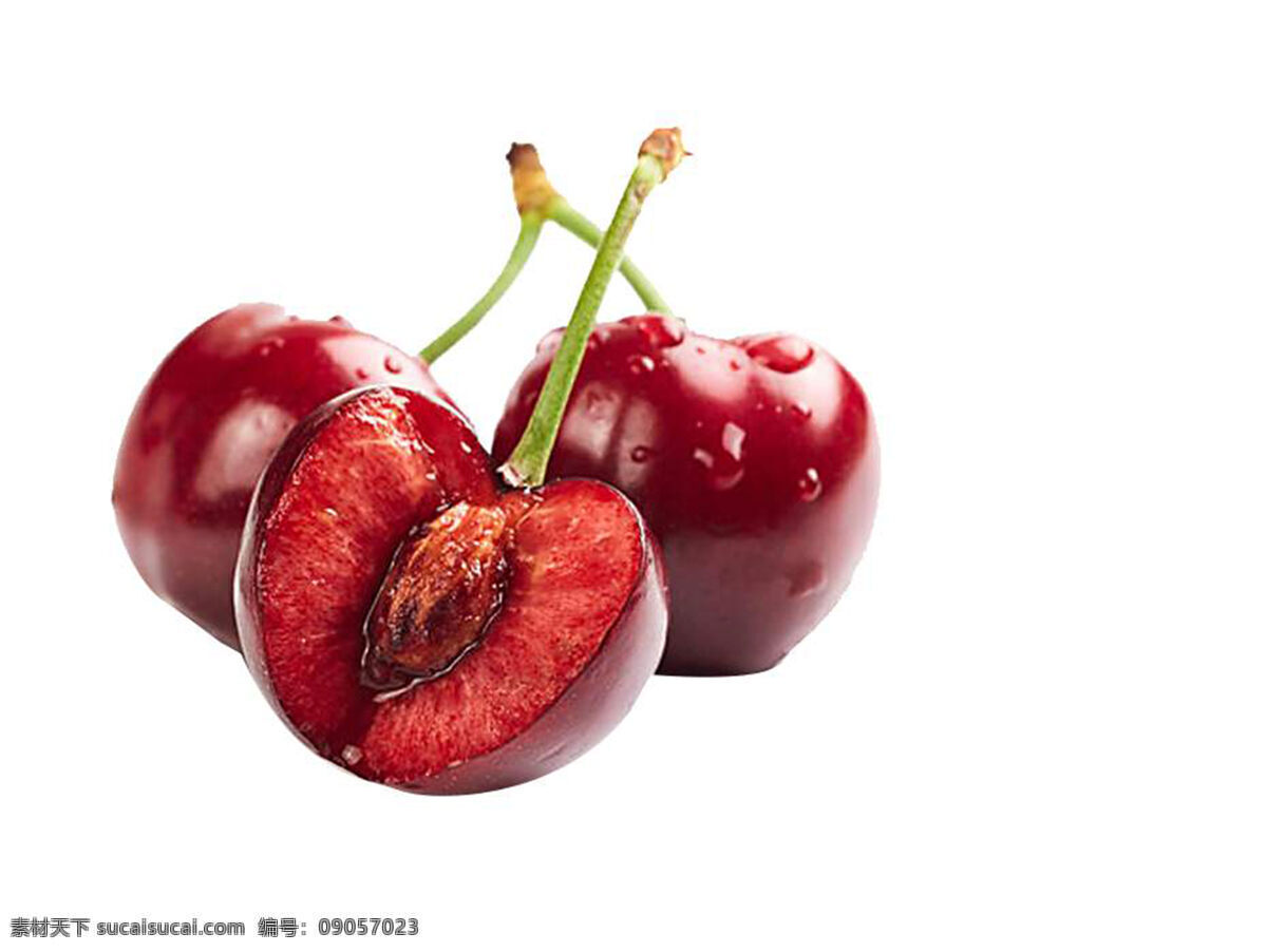 樱桃 水果 植物 食物 生物世界