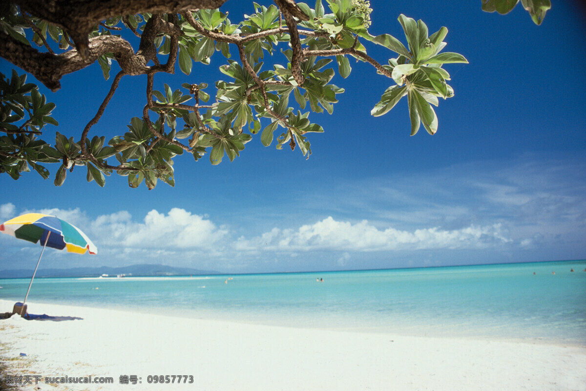 风光 风景 海景 海水 海滩 蓝天白云 绿树 美景 景 太阳伞 迷人景色 自然风景 自然景观 psd源文件