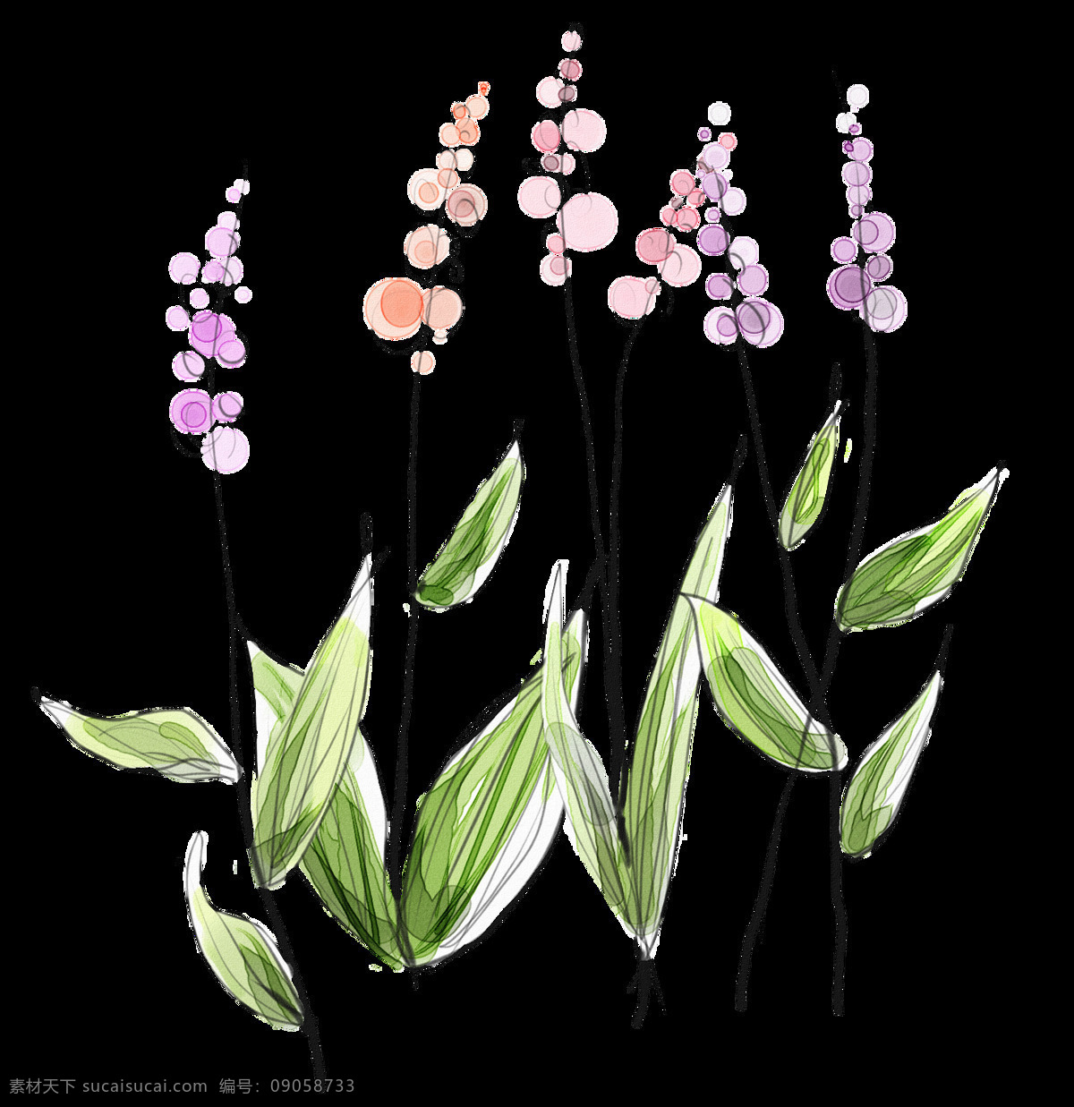 卡通 绿叶 红花 元素 png元素 花朵 免抠元素 透明素材 叶子 植物