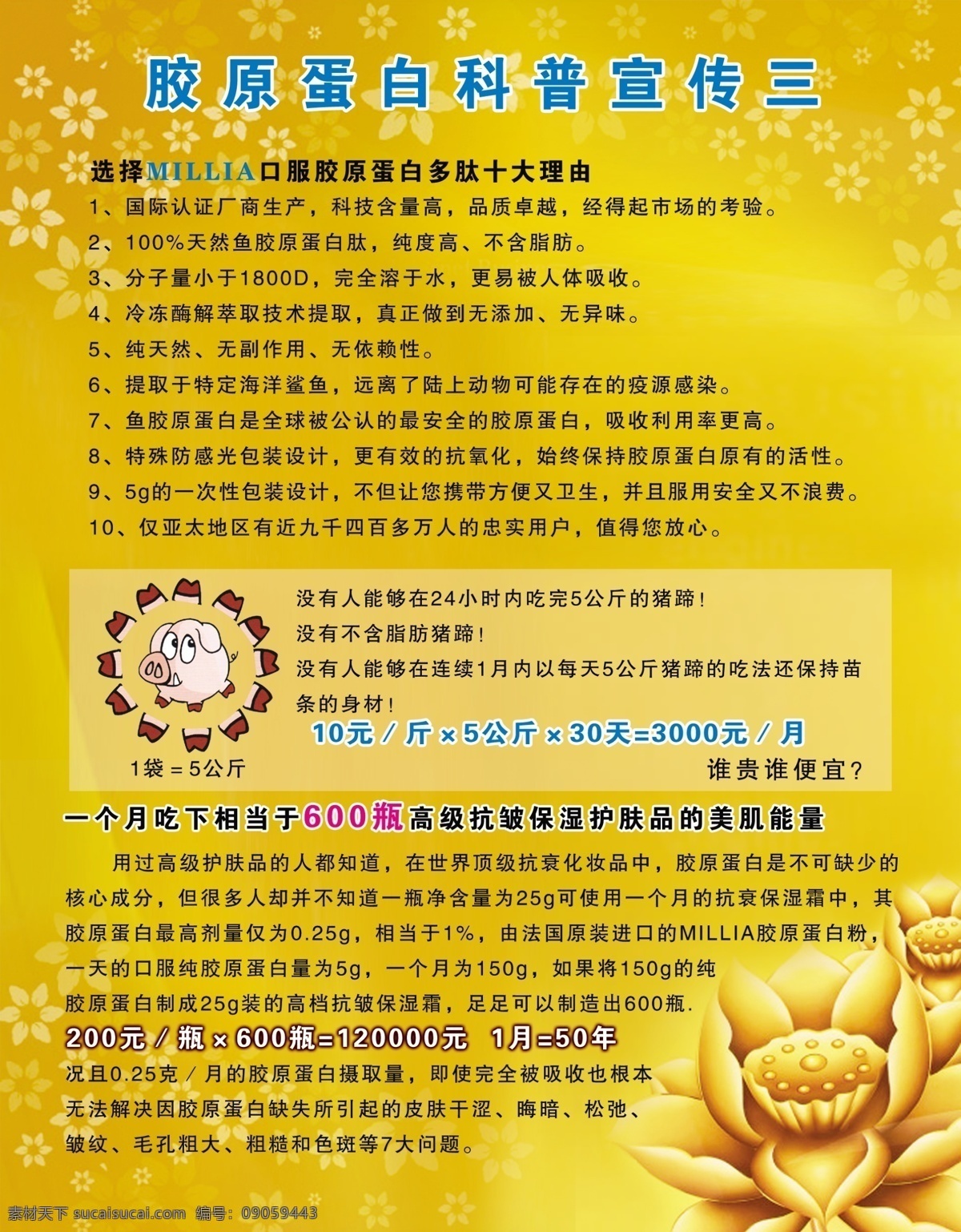 保健品展板 大花 广告设计模板 莲花 美容 塑身 小花 营养品 展板 展板模版 胶原 蛋白 科普宣传 猪 展板模板 源文件 其他展板设计