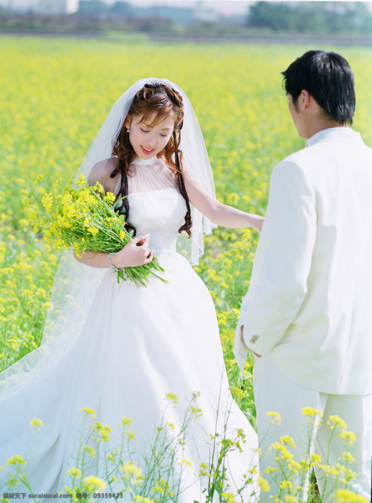 春天之婚纱 爱情 春天 黄花 油菜花 油菜地 婚纱 白纱 外景 高清 阳光 婚纱样片 人物图库 人物摄影 摄影图库