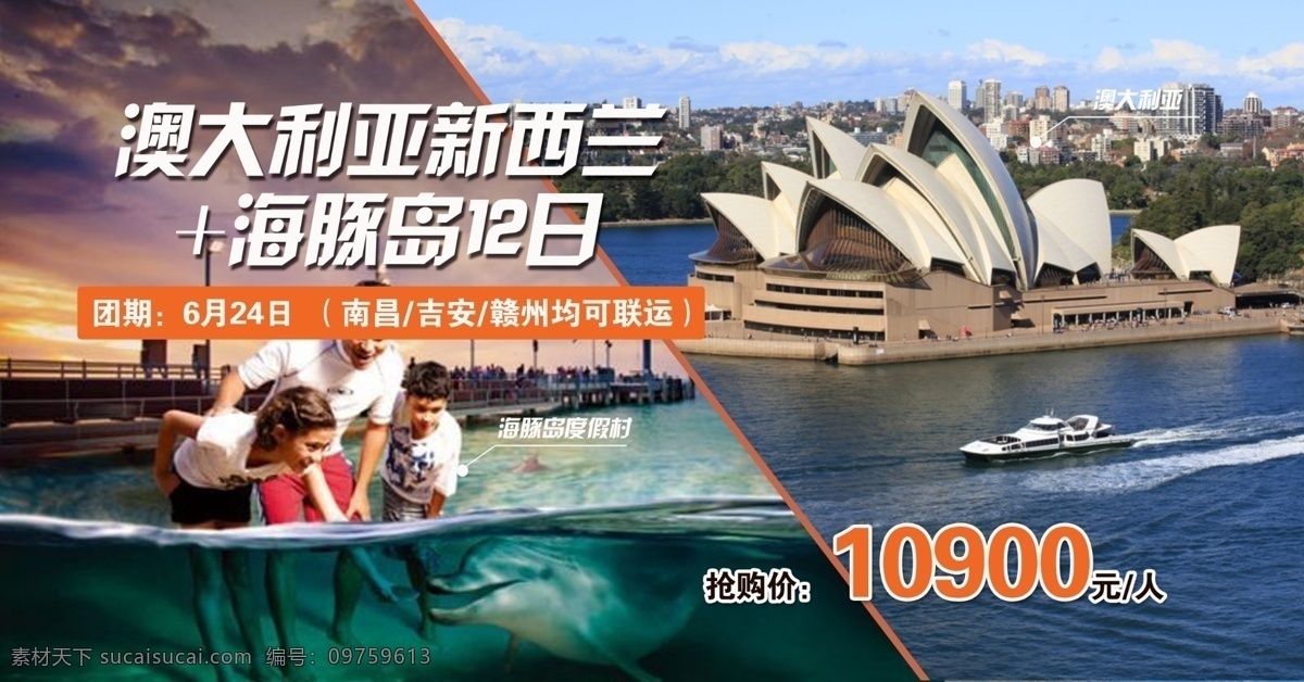 澳大利亚 新西兰 海豚 岛 旅游 澳大利亚旅游 海豚岛 灰色