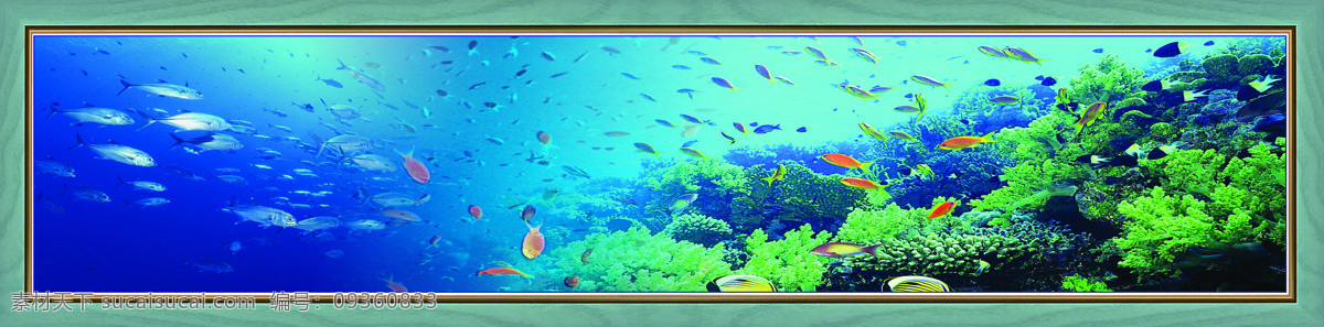 海洋 美景 大海 海底 珊瑚 深海 围挡 鱼群 节日素材 六一儿童节