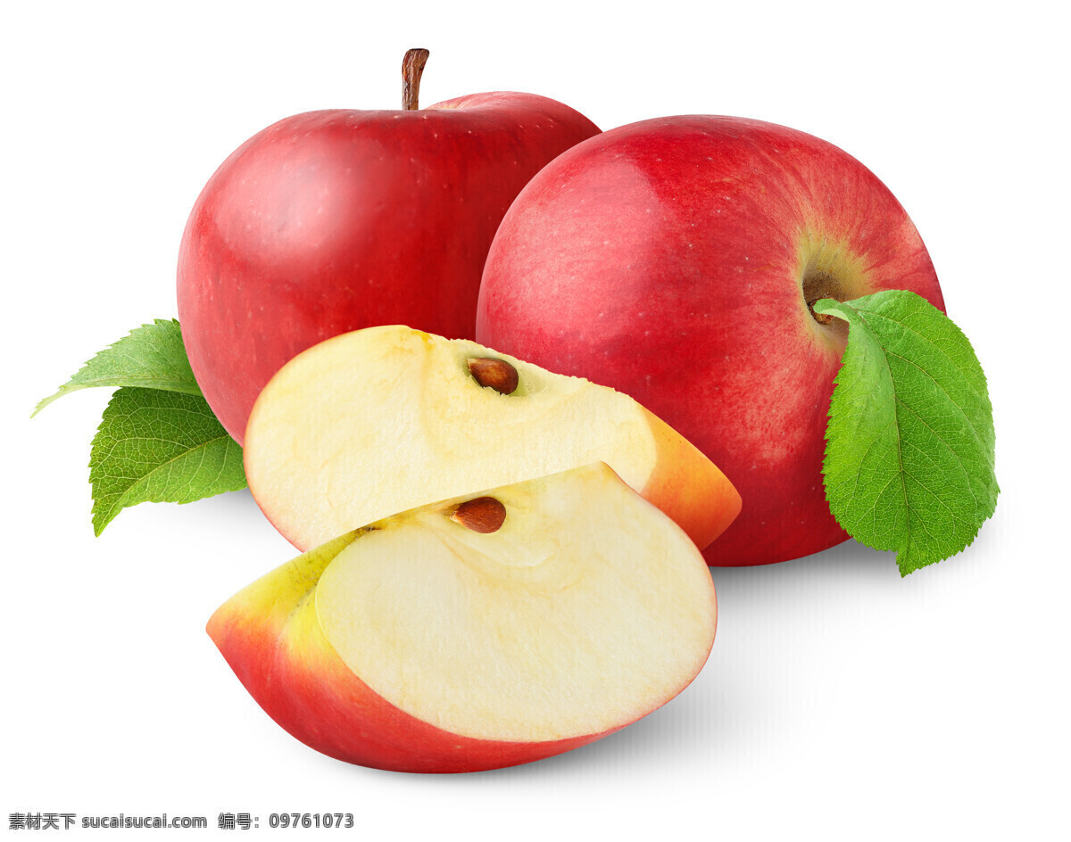 新鲜 苹果 品种甚多 高维c水果 味甜略酸 皮色多种 营养丰富 水果品种之一 水果图集 水果 生物世界 苹果图片 餐饮美食