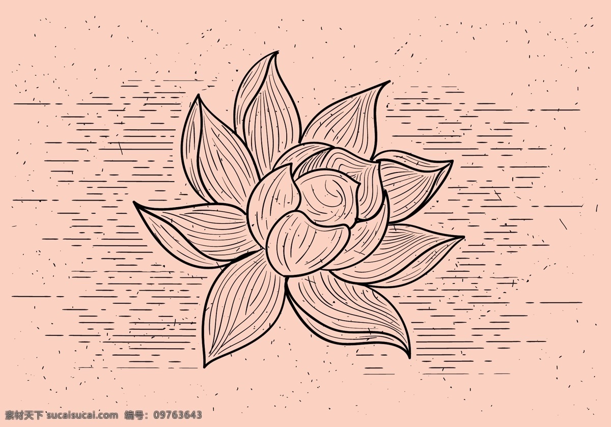 创意荷花插画 时尚花卉 花卉插画 时尚插画 花卉 手绘花卉 矢量素材 荷花
