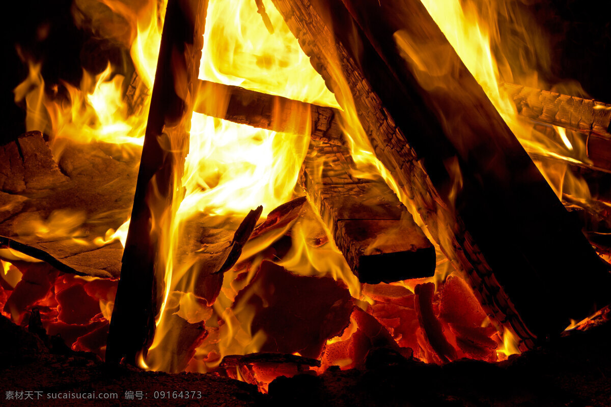 燃烧 木头 燃烧的木头 生物世界