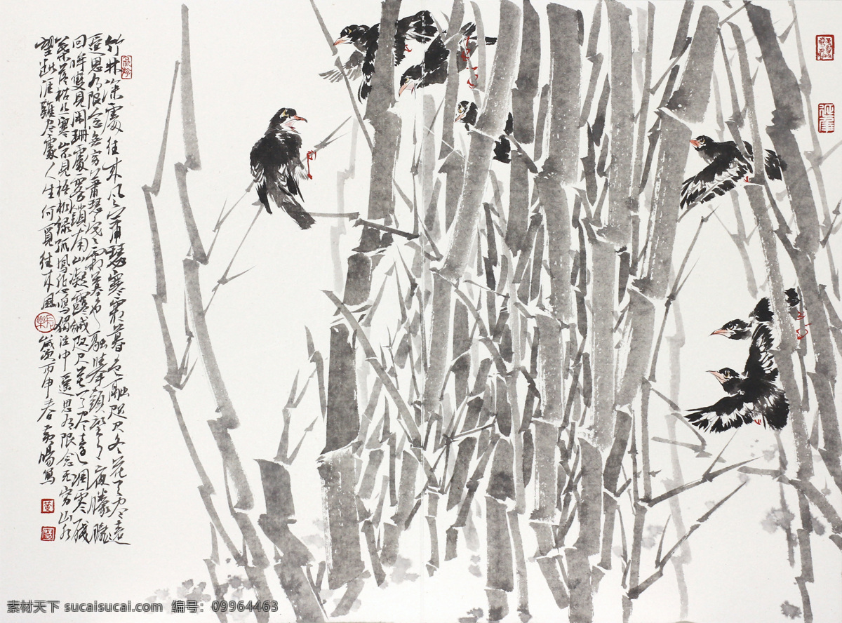 八哥写意花鸟 写意 花鸟 国画 黄旸 竹子 竹林 八哥 书法 篆刻 白色