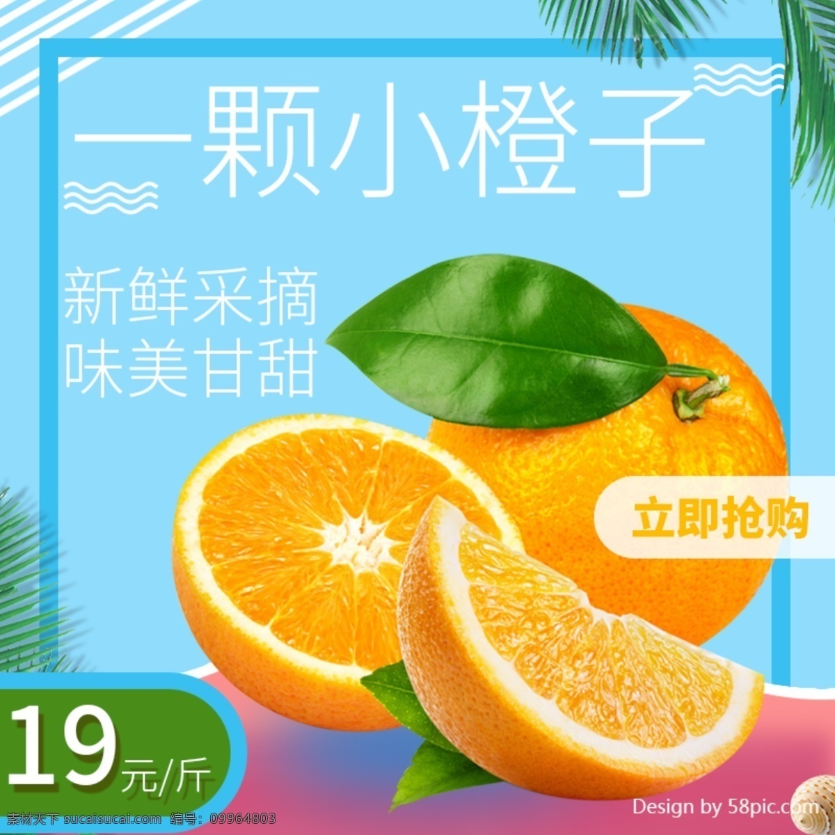 电商 淘宝 自然风 小 清晰 橙子 水果 主 图 小清晰 主图