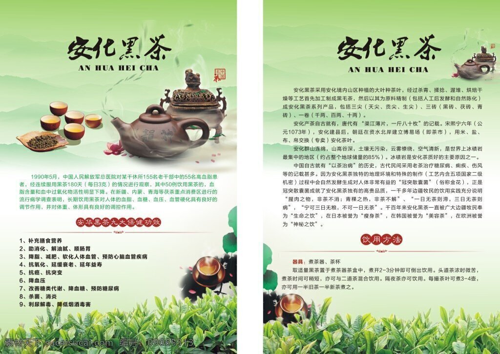 黑茶 单页 茶壶 茶杯 茶叶 白色
