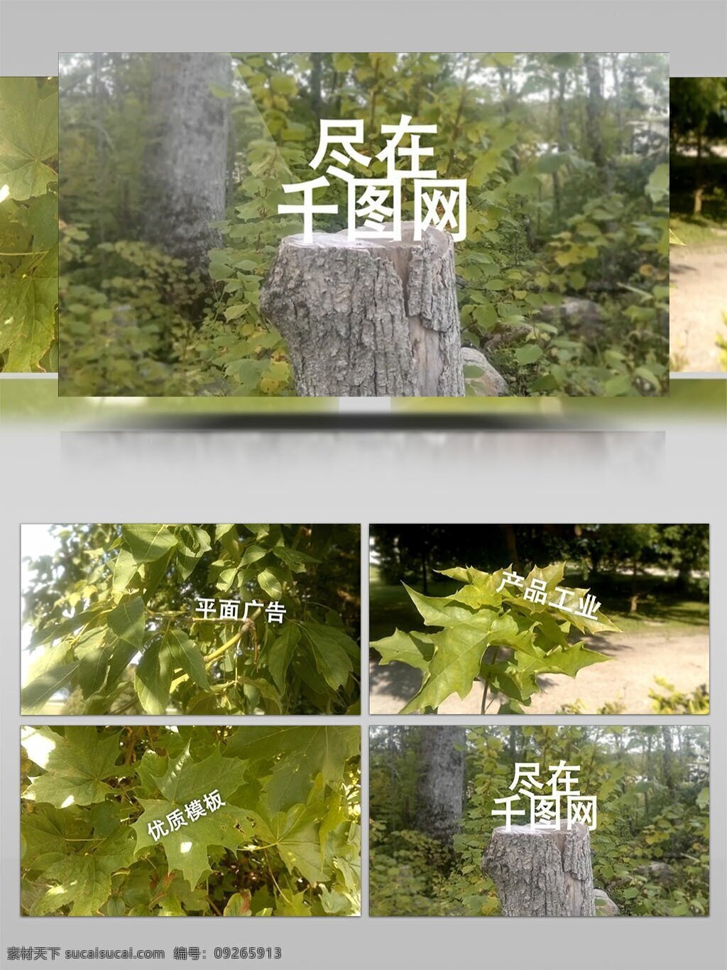 自然 景色 3d 跟踪 景色实拍 文字展示 宣传 ae模板 aep 三维追踪